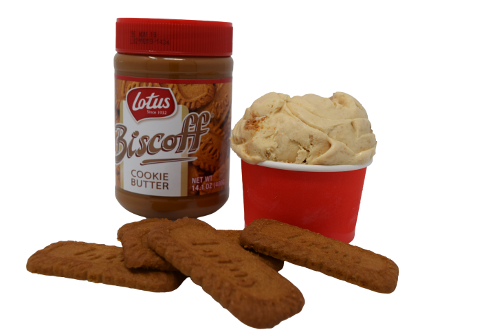Speculoos Ice Cream